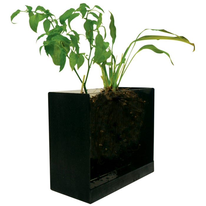 Science First Root Tank