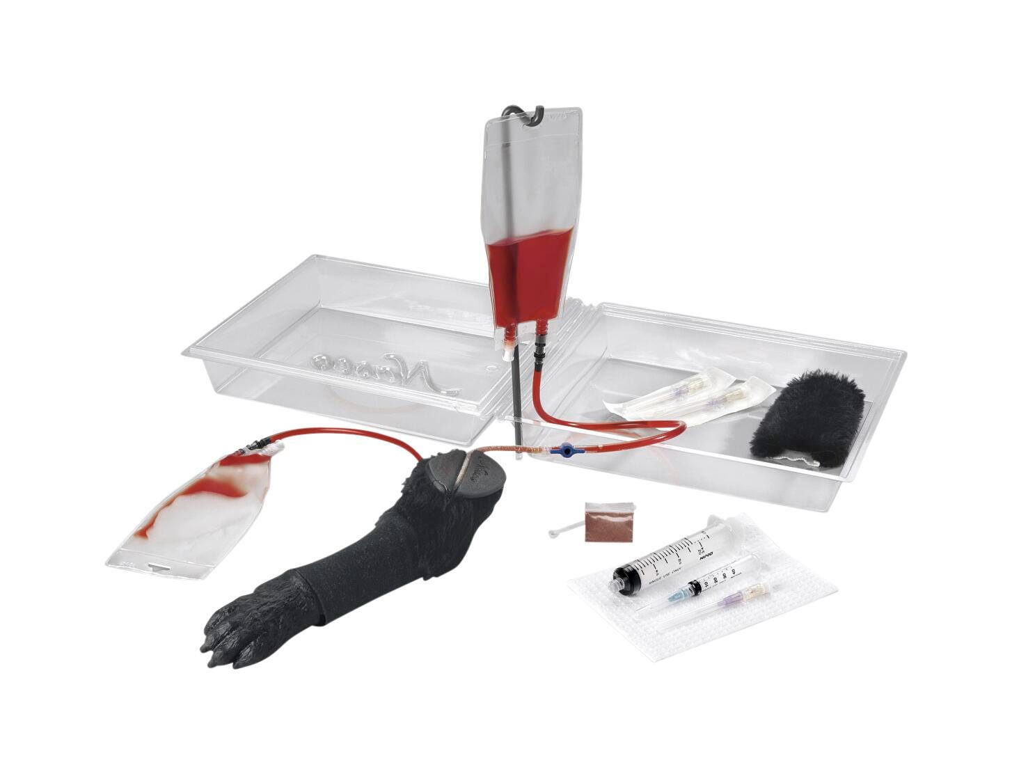 Image for Life/form® Canine IV Leg from School Specialty