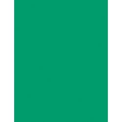 Colored Copy Paper, Item Number 054435