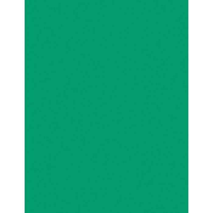 Pacon Multi-Purpose Paper, 8-1/2 x 11 Inches, Emerald Green, Pack of 500
