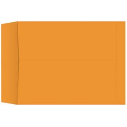 School Smart Catalog Envelopes, 17 x 22 Inches, Kraft, Box of 25 2133837