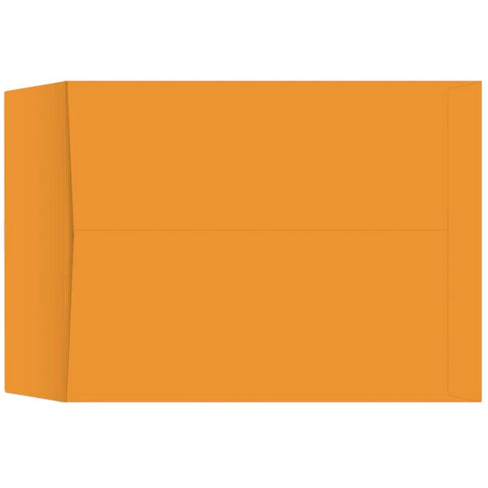 School Smart Catalog Envelopes, 17 x 22 Inches, Kraft, Box of 25