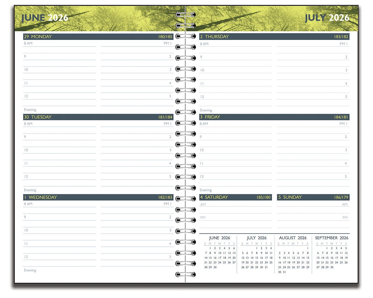 Image for Hammond & Stephens Academic Weekly Appointment Planner, July 2026 to July 2027, 5 x 8 Inches from School Specialty