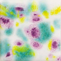 Mayco Jungle Gems Crystal Glaze, Jazz Notes Pint, Item Number 2090325