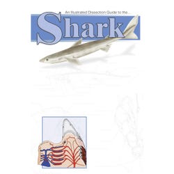 Frey Scientific Mini-Guide to Shark Dissection, Paperback, 20 Pages, Item Number 597177