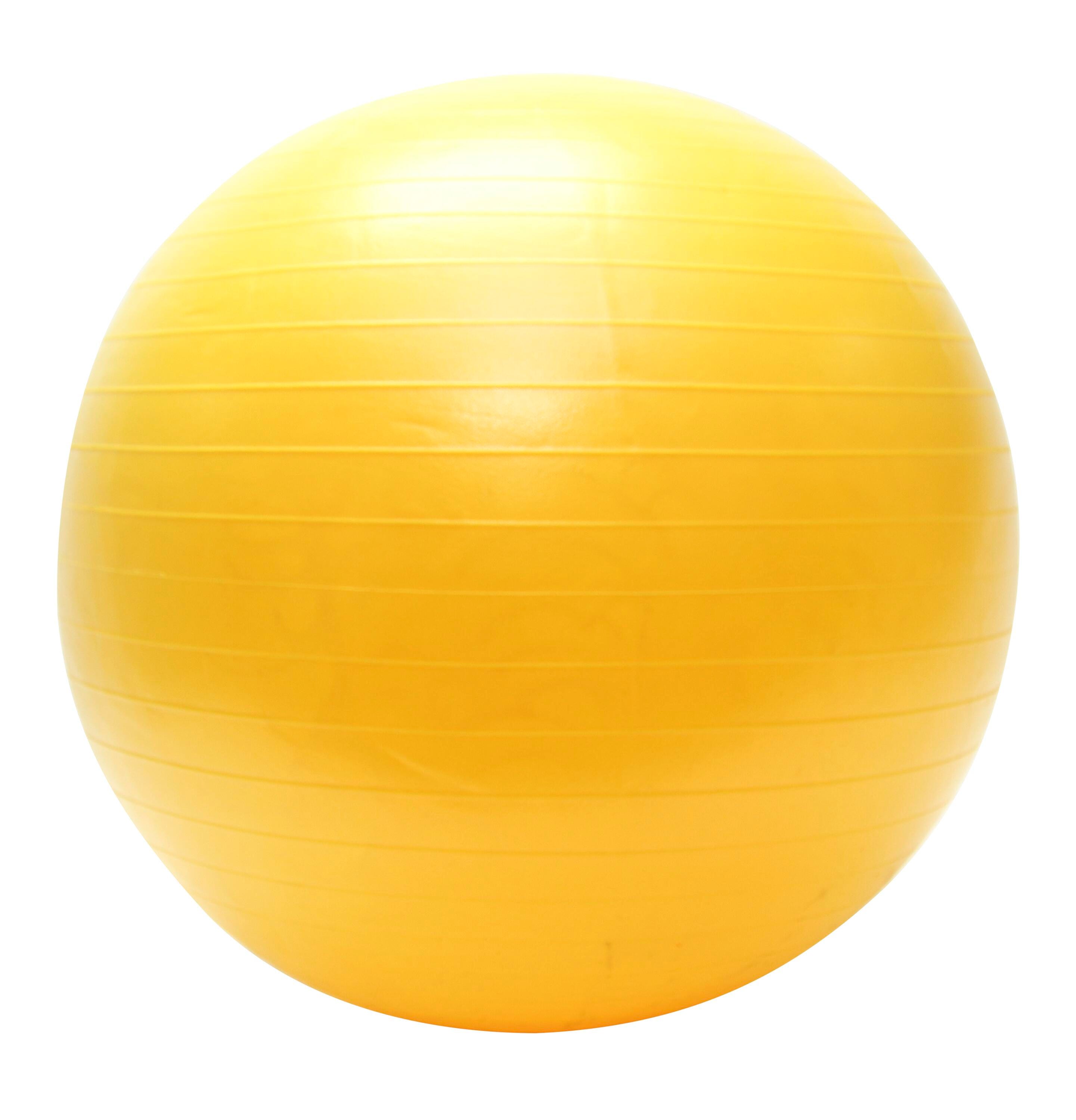 Image for Sportime Replacement Cage Ball Bladder, 40 Inches from School Specialty