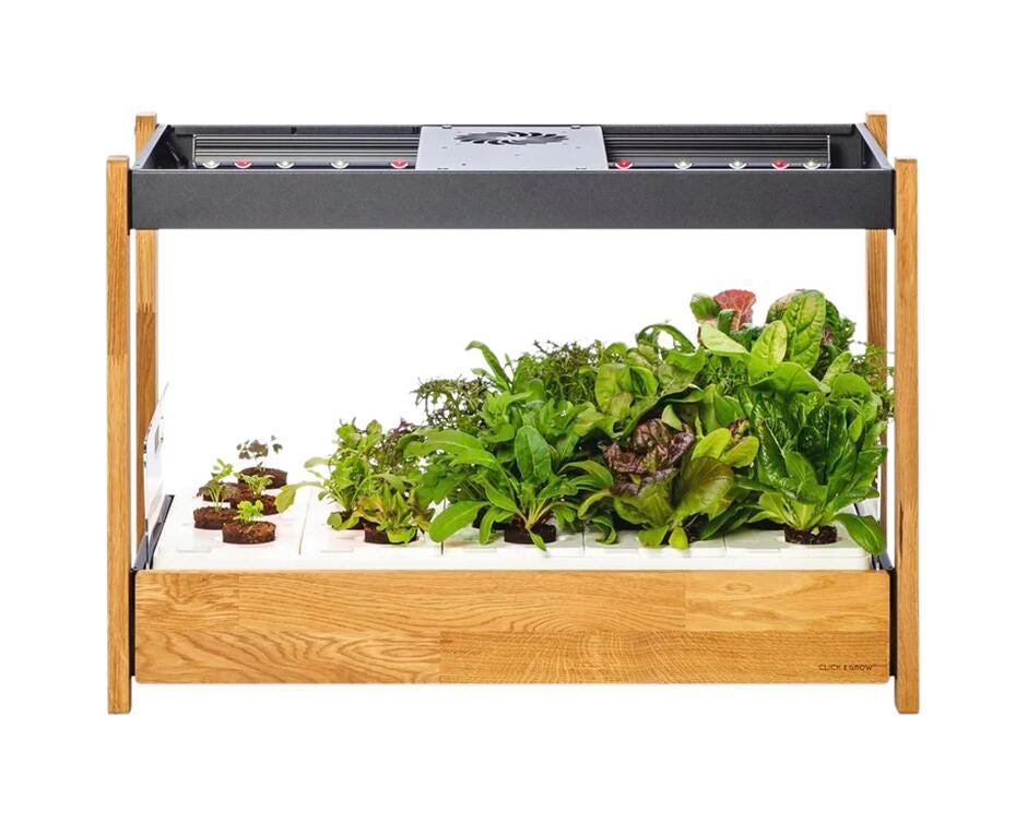 Click and Grow 25 Starter Kit, Black 2219187