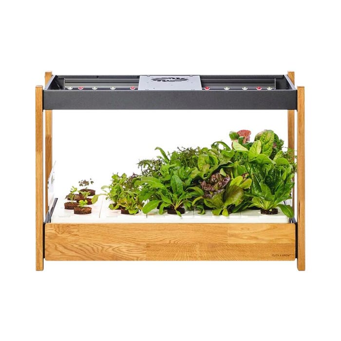 Click & Grow 25 Starter Kit, Black