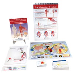 Health Science, Physiology, Item Number 1531267