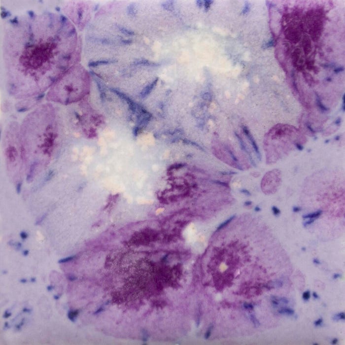 Mayco Jungle Gems Crystal Glaze, Pint, CG-1006 Purple Reign, Opaque