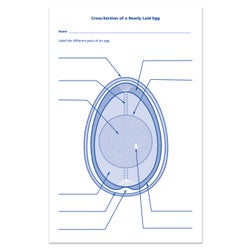 ANGLEIMAGES_FULLIMAGE