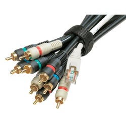 ANGLEIMAGES_FULLIMAGE