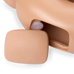 ANGLEIMAGES_FULLIMAGE