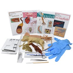 Frey Choice Dissection Kit - Comparative Circulatory System with Dissection Tools, Item Number 2041262