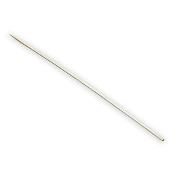 Delta Education Bamboo Skewer, 10 Inch, Pack of 15