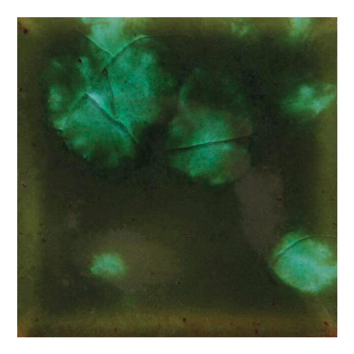 Mayco Jungle Gems Crystal Glaze, CG-707 Woodland Fantasy, Translucent, Pint