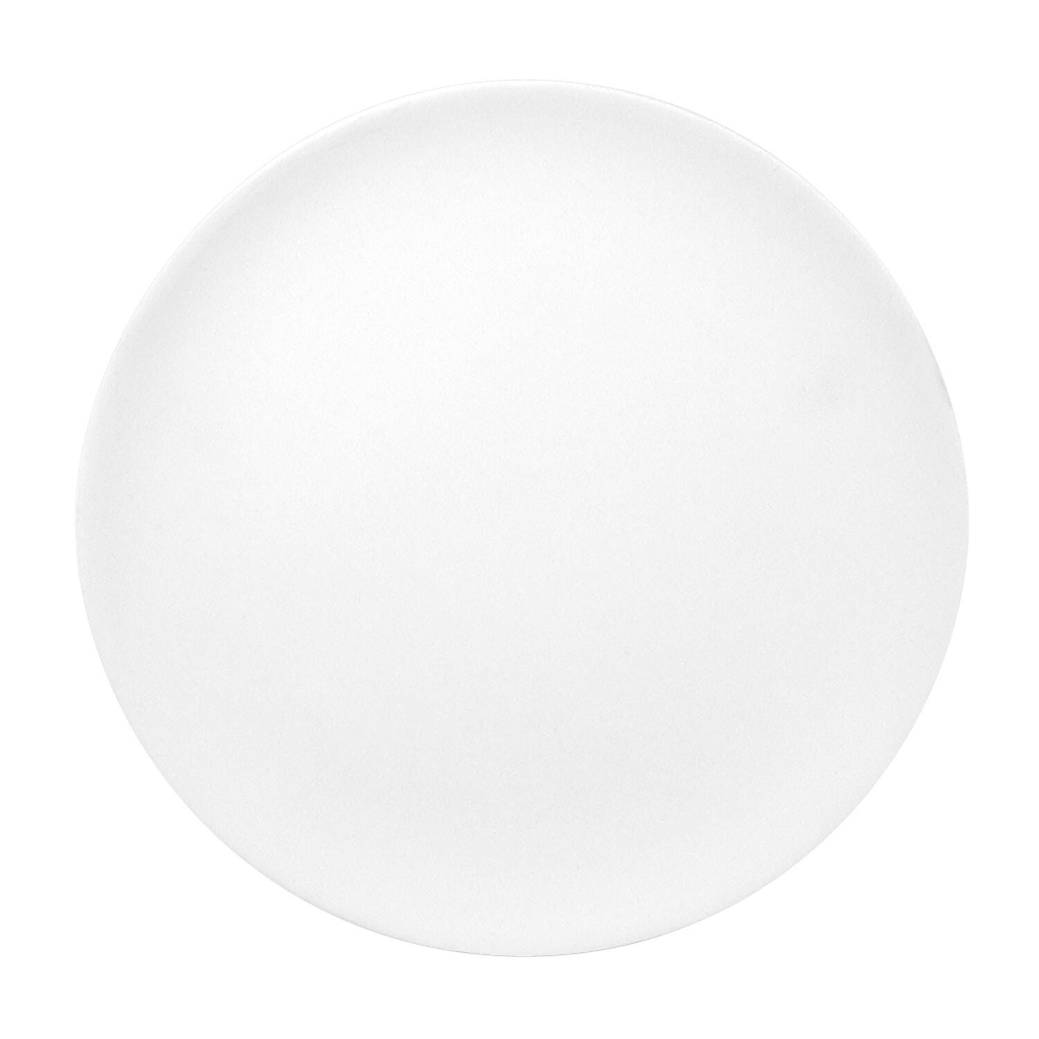 Mayco Coupe Dinner Plate, 9-3/4 Inches Diameter, Pack of 12 1572705