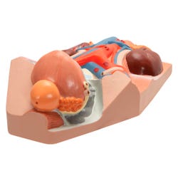 ANGLEIMAGES_FULLIMAGE