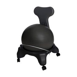 Aeromat Replacement Ball for Teen/Adult Ball Chair, Black 1455369
