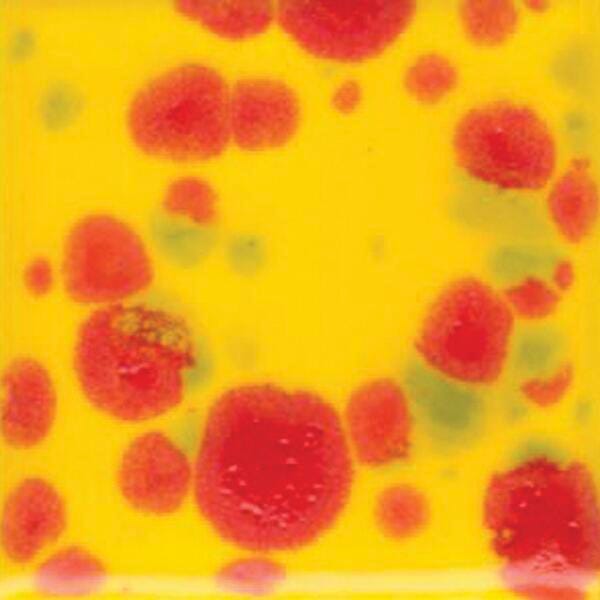 Sax Colorburst Glaze, 1 Pint, Fiesta Item Number 1430109