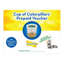 Cup of Caterpillars Prepaid Voucher 2147333