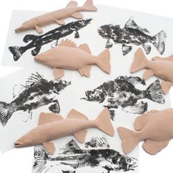 ANGLEIMAGES_FULLIMAGE