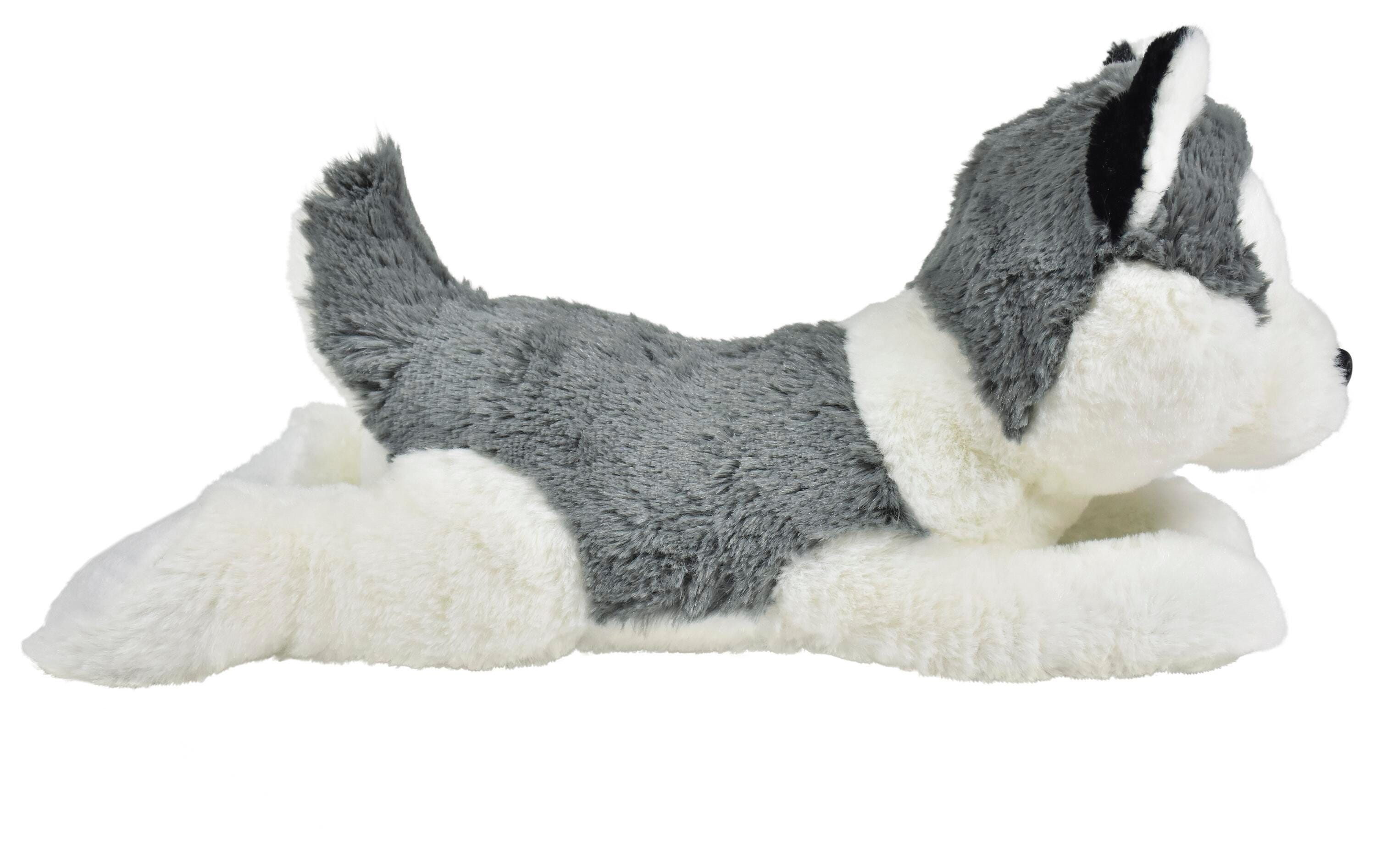 ANGLEIMAGES_FULLIMAGE