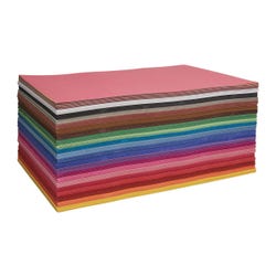 Nasco Construction Paper, 12 x 18 Inches, Assorted Colors, 900 Sheets