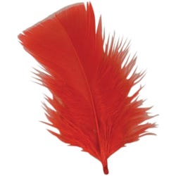 Delta Education Feathers, Pack of 80