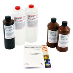 Innovation Science Grams Stain Set Large 2134320