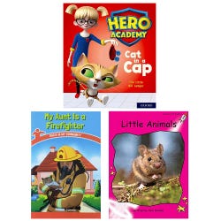 Achieve It! Multipublisher Guided Reading Level B: Class Pack, Grades K, Set of 96, Item Number 2097345