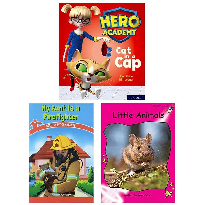 Achieve It! Multipublisher Guided Reading Level B: Class Pack, Grade K, Set of 96