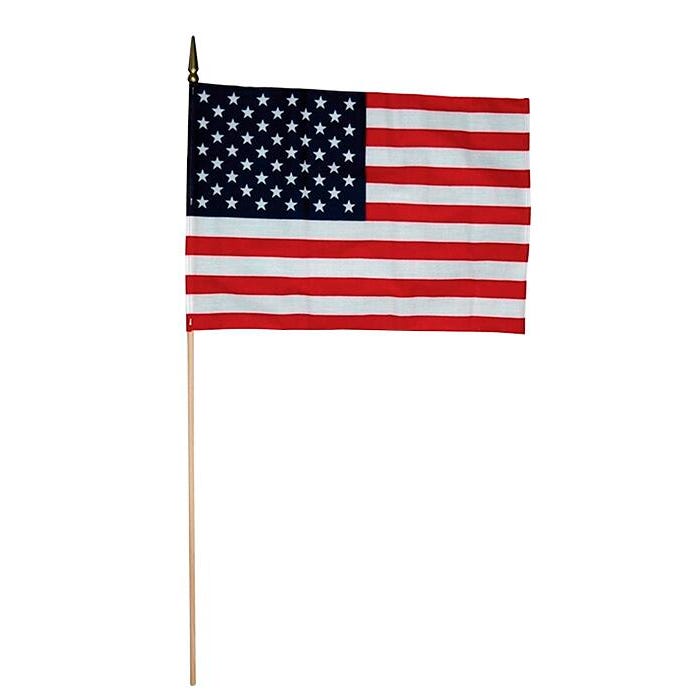 Annin Traditional United States Hand Held Flags with Gold Spear Tips, 12 x 18 Inches, Pack of 12