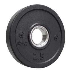 Wright Amp Bumper Plate, 2-1/2 Pounds 2151705