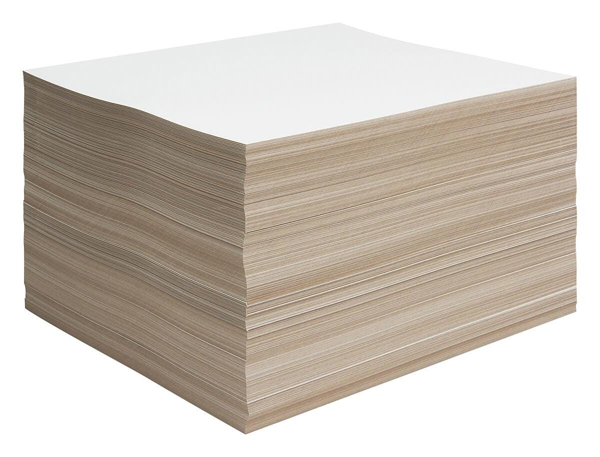 Nasco Best Buy Poster Board, 11 x 14 Inches, Pack of 500