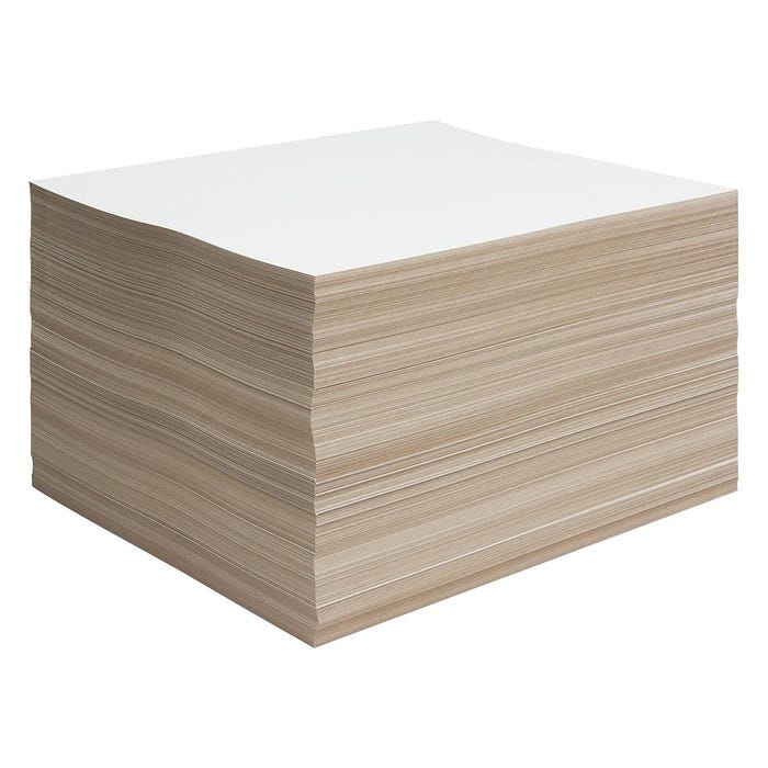 Nasco Best Buy Poster Board, 11 x 14 Inches, Pack of 500