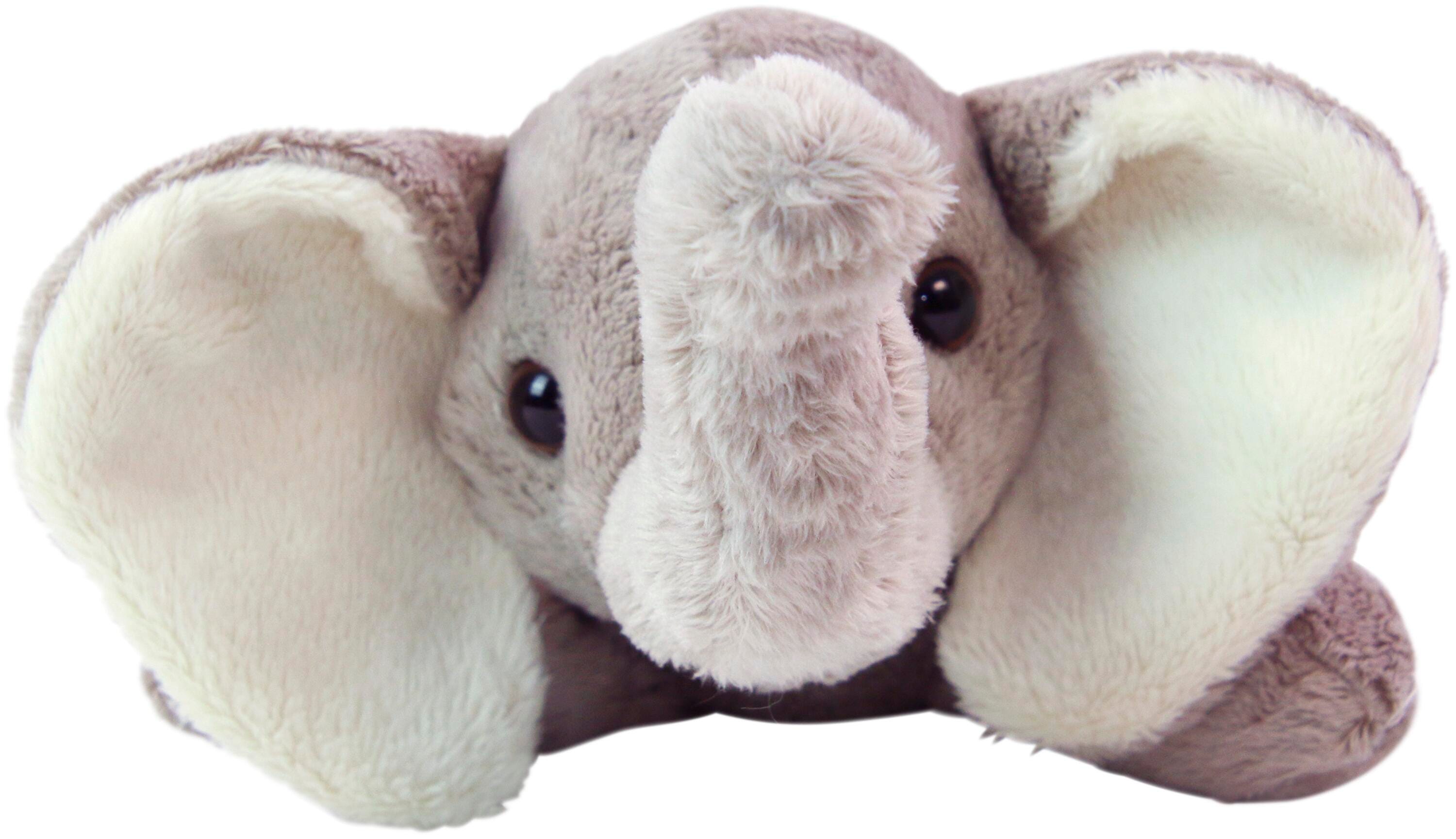 ANGLEIMAGES_FULLIMAGE