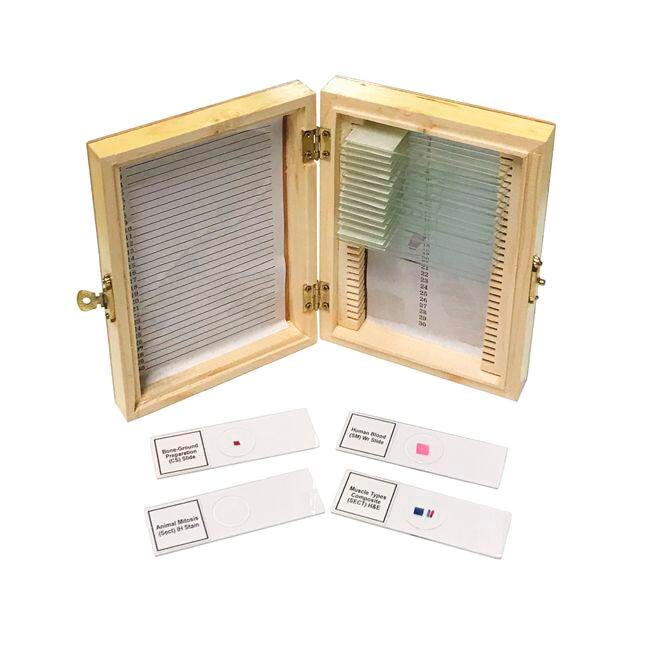 United Scientific Biology Prepared Slide, Set of 20, Item Number 2089961