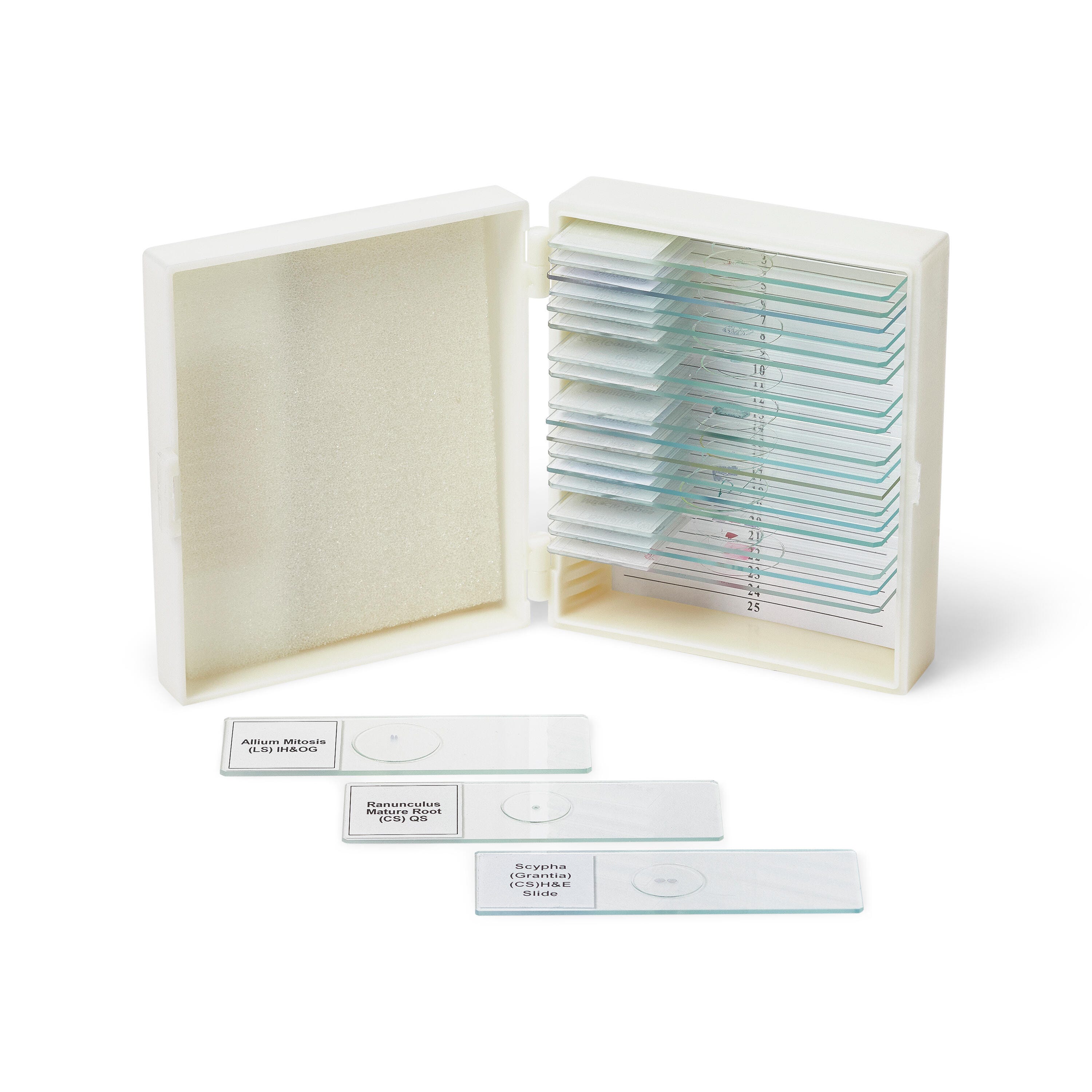 United Scientific Biology Prepared Slides, Set of 20