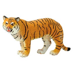 ANGLEIMAGES_FULLIMAGE