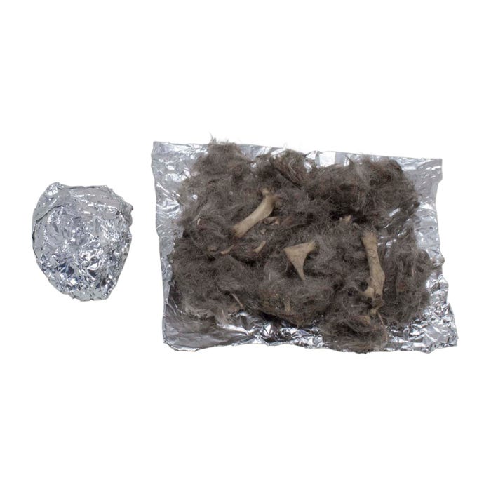 Delta Education Owl Pellet - Pack of 1