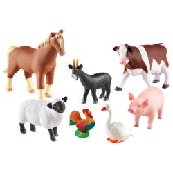 ANGLEIMAGES_FULLIMAGE