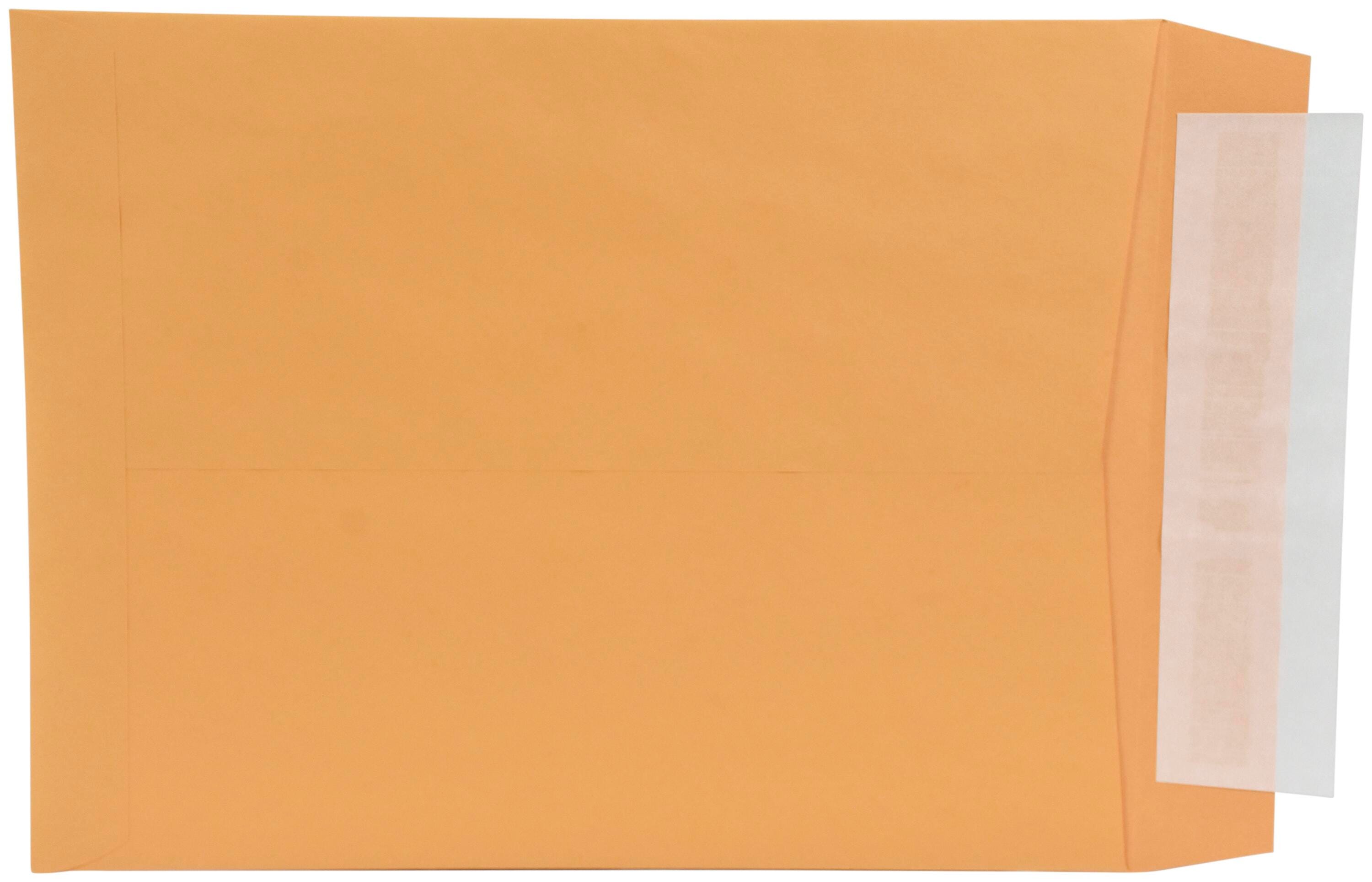 School Smart Kwik-Tak Envelopes, 10 x 13 Inches, 28 lb, Kraft Brown, Box of 100 2044622