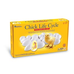 ANGLEIMAGES_FULLIMAGE