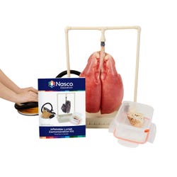 Nasco Inflatable Lung Demonstration Kit