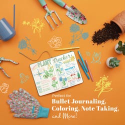 ANGLEIMAGES_FULLIMAGE