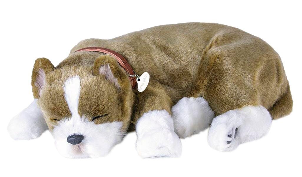 Perfect Petzzz Pit Bull 2122037