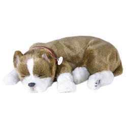 Perfect Petzzz Pit Bull 2122037