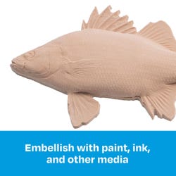 ANGLEIMAGES_FULLIMAGE