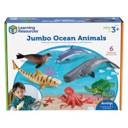 ANGLEIMAGES_FULLIMAGE